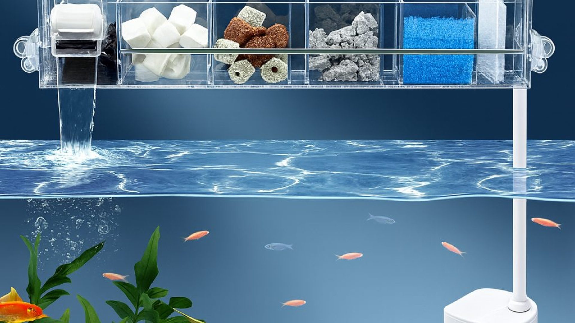 Cách setup lọc tràn cho hồ 100-120cm