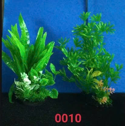 Rong nhựa 0010 - Cây