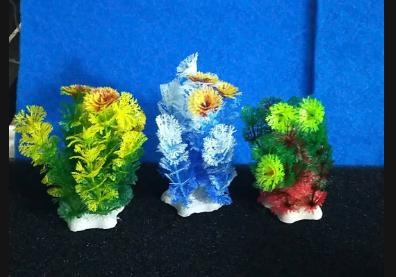 Rong bụi nhựa 005 - Cái