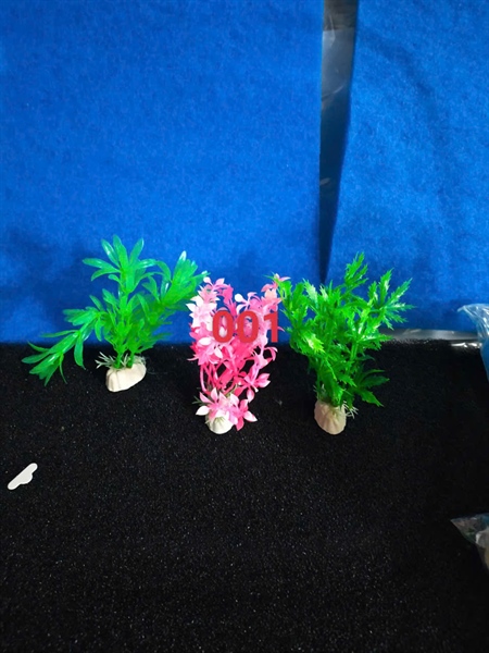 Rong bụi nhựa 003 - Cái