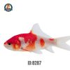 Cá Chép Nam Dương Size (25-30cm)