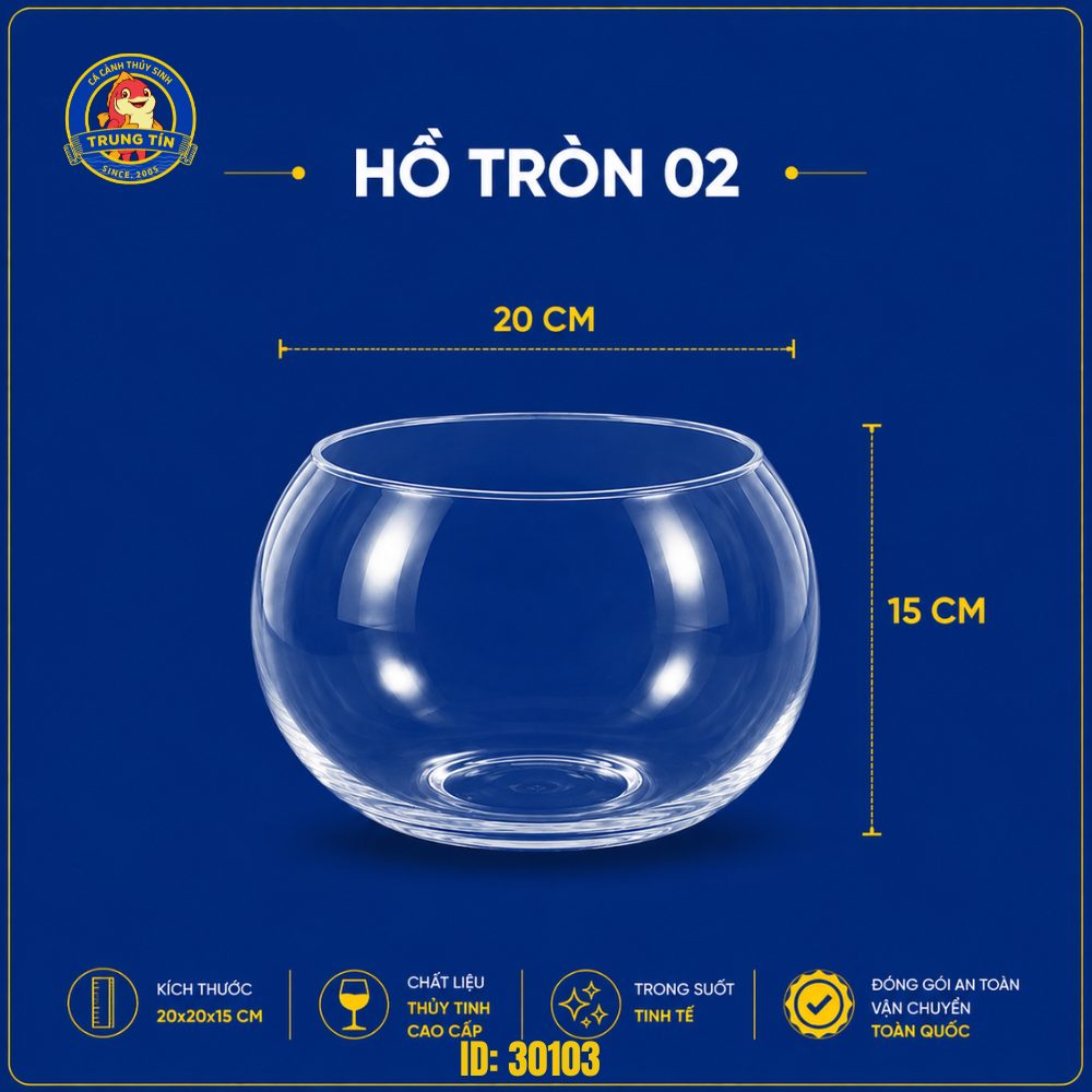 Bình tròn thủy tinh nuôi cá