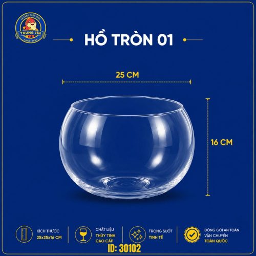 Hồ tròn thủy tinh nuôi cá